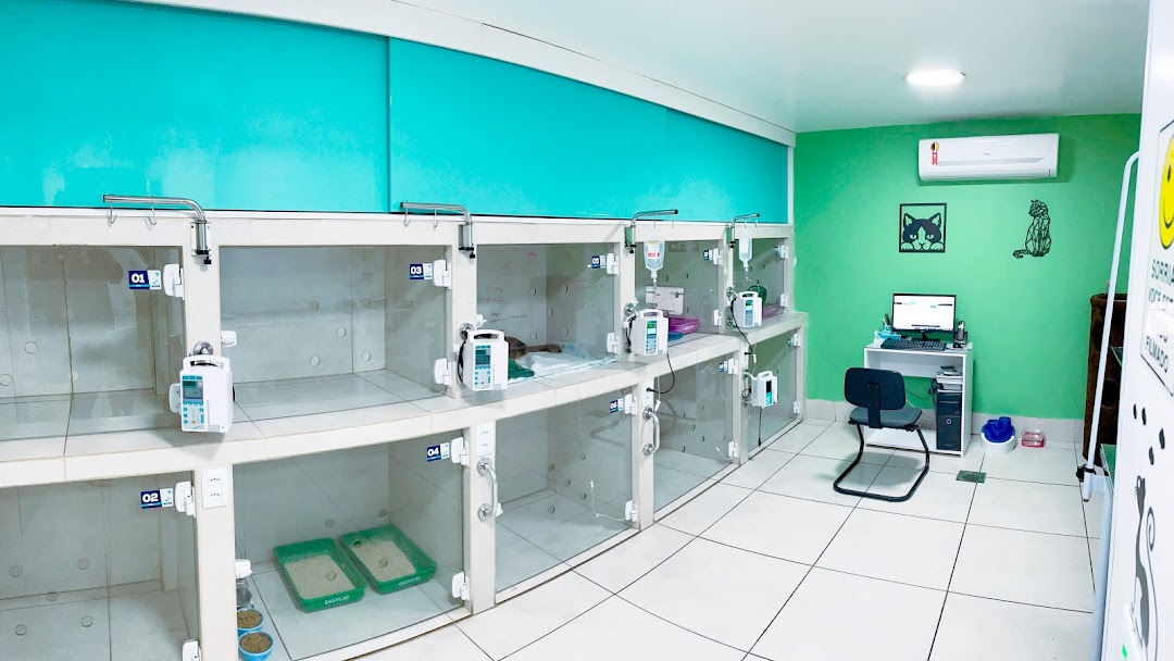 Clínica Veterinária