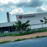 Musashi da Amazônia
