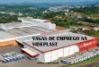 Videplast vagas de emprego