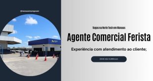 Norte Tech - Assistente Comercial Ferista